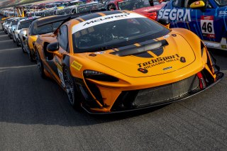 #21 McLaren Artura Trophy Evo of Colin Harrison, TechSport, McLaren Trophy America, Am, SRO America, Circuit fo the Americas, Austin, TX, April 2025.
 | Brian Cleary/SRO