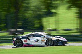 #53 McLaren Artura Trophy Evo of Neil Langberg and Kevin Madsen, RP Motorsports by Forte Racing, McLaren Trophy America, Am, SRO America, VIRginia International Raceway, alton, VA, July 2025.
 | Rick Houghton/SRO
