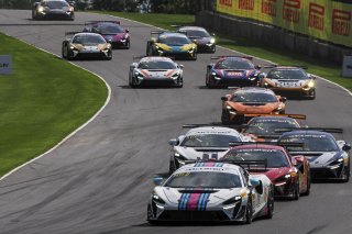 #53 McLaren Artura Trophy Evo of Neil Langberg and Kevin Madsen, RP Motorsports by Forte Racing, McLaren Trophy America, Am, SRO America, Road America, Elkhart Lake, WI, August 2025.
 | Brian Cleary/SRO