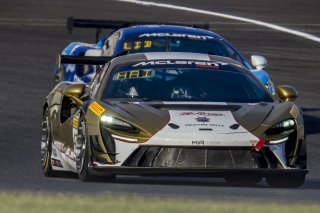 #43 McLaren Artura Trophy Evo of Alexandra Hainer and Jesse Lazare, Motorsports in Action, McLaren Trophy America, Pro-Am, SRO America, Indianapolis Motor Speedway, Sonoma, CA, March 2025.
 | Brian Cleary/SRO