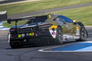 #43 McLaren Artura Trophy Evo of Alexandra Hainer and Jesse Lazare, Motorsports in Action, McLaren Trophy America, Pro-Am, SRO America, Indianapolis Motor Speedway, Sonoma, CA, March 2025.
 | Brian Cleary/SRO
