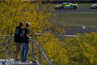 #49 McLaren Artura Trophy Evo of Stephen Sorbaro, OMS, McLaren Trophy America, Am, SRO America, Indianapolis Motor Speedway, Sonoma, CA, March 2025.
 | Brian Cleary/SRO
