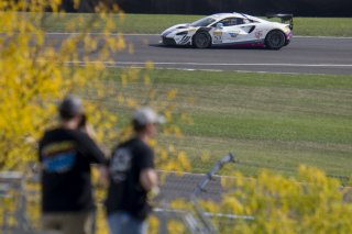 #53 McLaren Artura Trophy Evo of Neil Langberg and Kevin Madsen, RP Motorsports by Forte Racing, McLaren Trophy America, Am, SRO America, Indianapolis Motor Speedway, Sonoma, CA, March 2025.
 | Brian Cleary/SRO