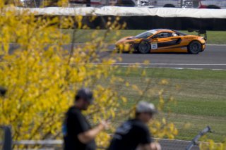 #21 McLaren Artura Trophy Evo of Colin Harrison, TechSport, McLaren Trophy America, Am, SRO America, Indianapolis Motor Speedway, Sonoma, CA, March 2025.
 | Brian Cleary/SRO