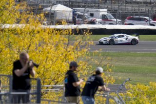 #53 McLaren Artura Trophy Evo of Neil Langberg and Kevin Madsen, RP Motorsports by Forte Racing, McLaren Trophy America, Am, SRO America, Indianapolis Motor Speedway, Sonoma, CA, March 2025.
 | Brian Cleary/SRO