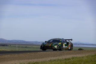 #8 McLaren Artura Trophy Evo of Kaia Teo and Paul Holton, Forte Racing, McLaren Trophy, Pro, SRO America, Sonoma Raceway, Sonoma, CA, Mar 27 - 29, 2026
 | Fabian Lagunas | www.lagunasphotography.com | 2026